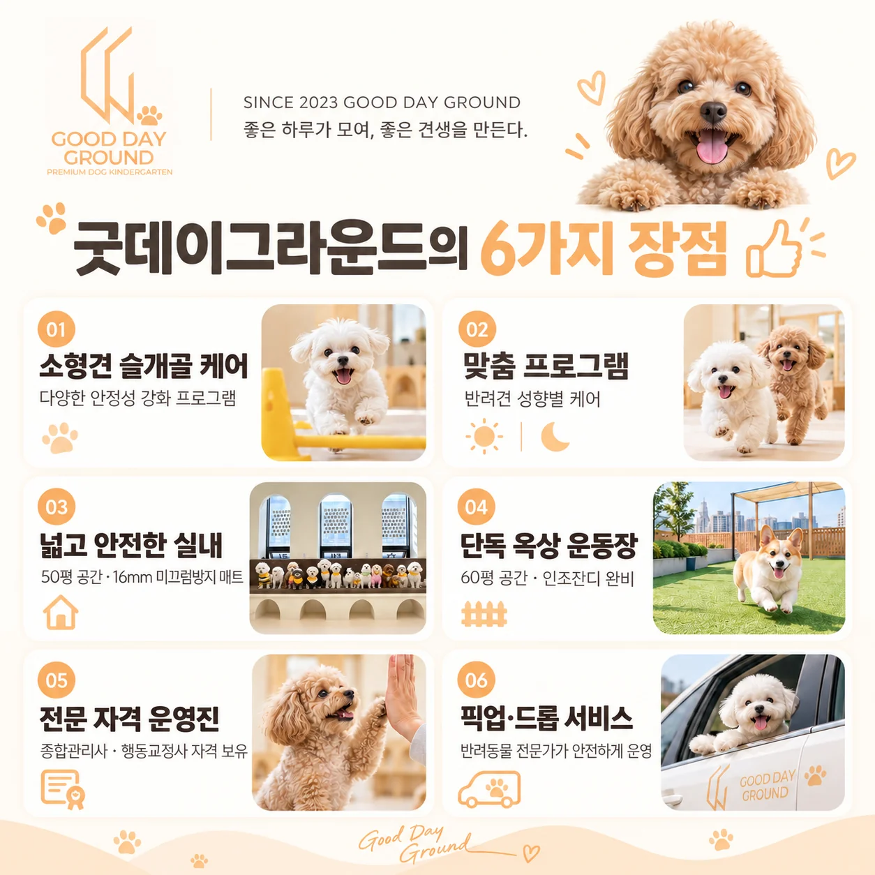 굿데이그라운드의 6가지 장점: 소형견 슬개골 케어, 맞춤 프로그램, 넓고 안전한 실내, 단독 옥상 운동장, 전문 자격 운영진, 픽업·드롭 서비스